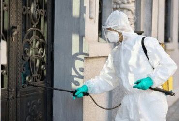 The advantages of bird control and bird deterrent methods used in commercial buildings