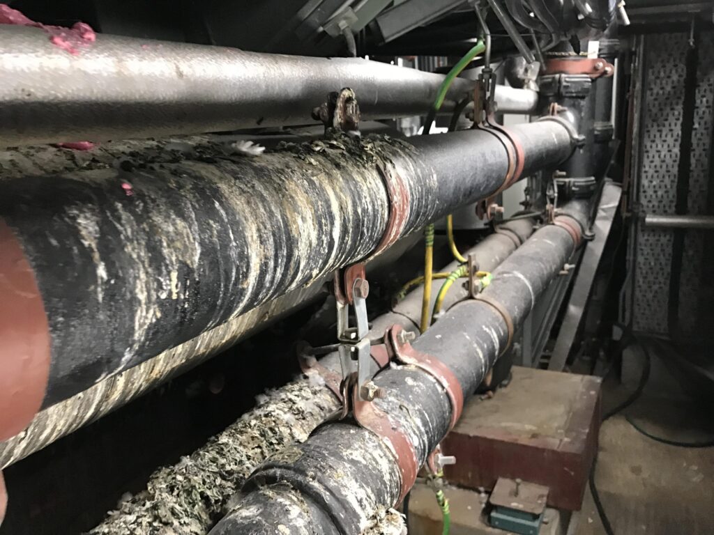 Building Decontamination of pipes