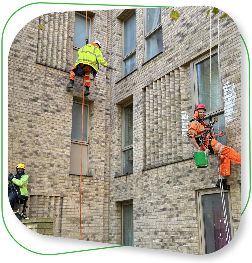 Avisan rope access technicians cleaning windows of building