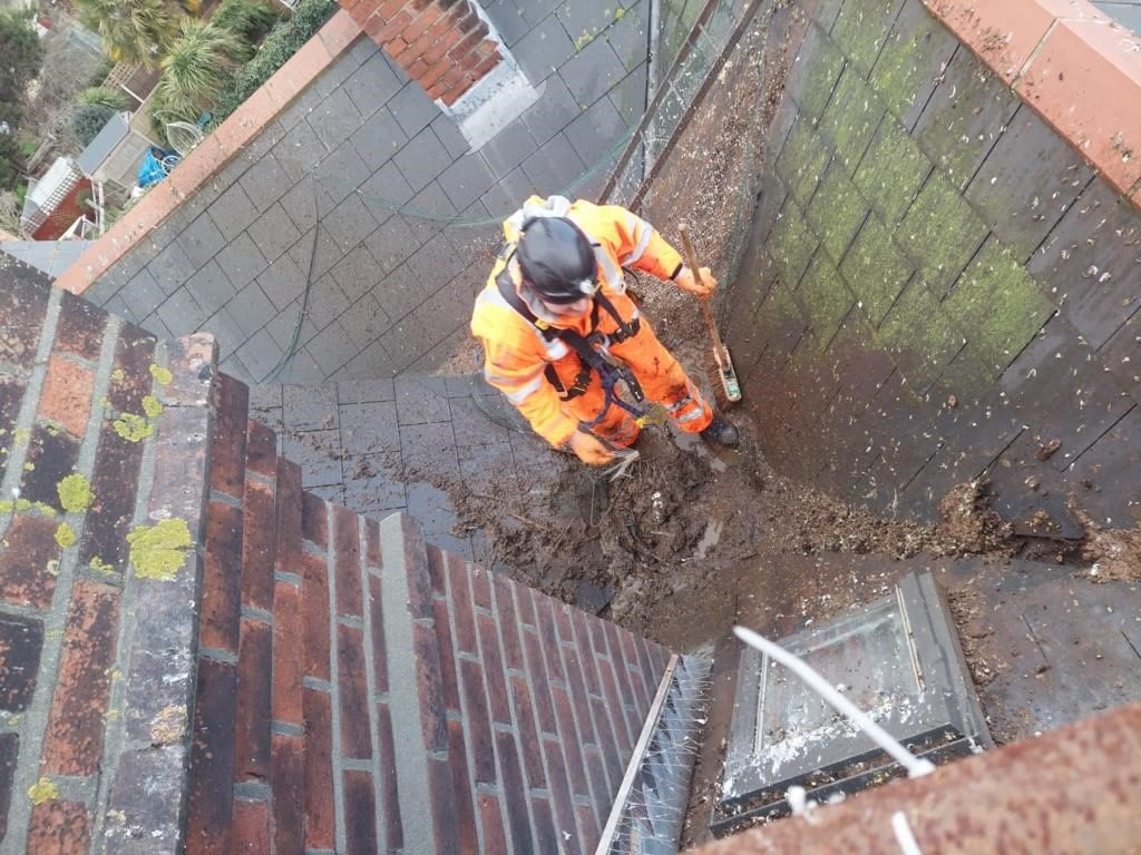 Avisan technician roof cleaning on building