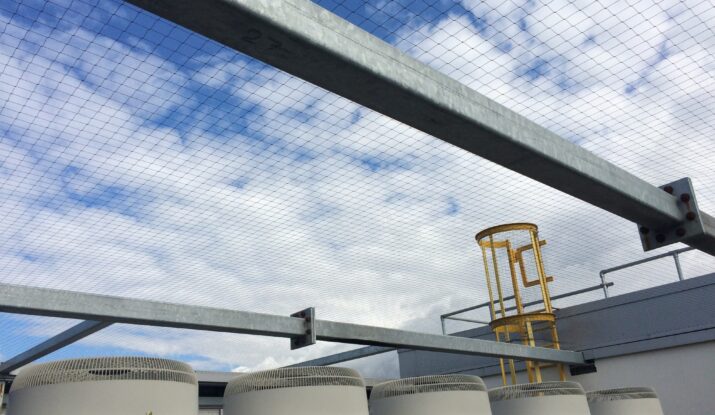 Net over a building for commercial bird control