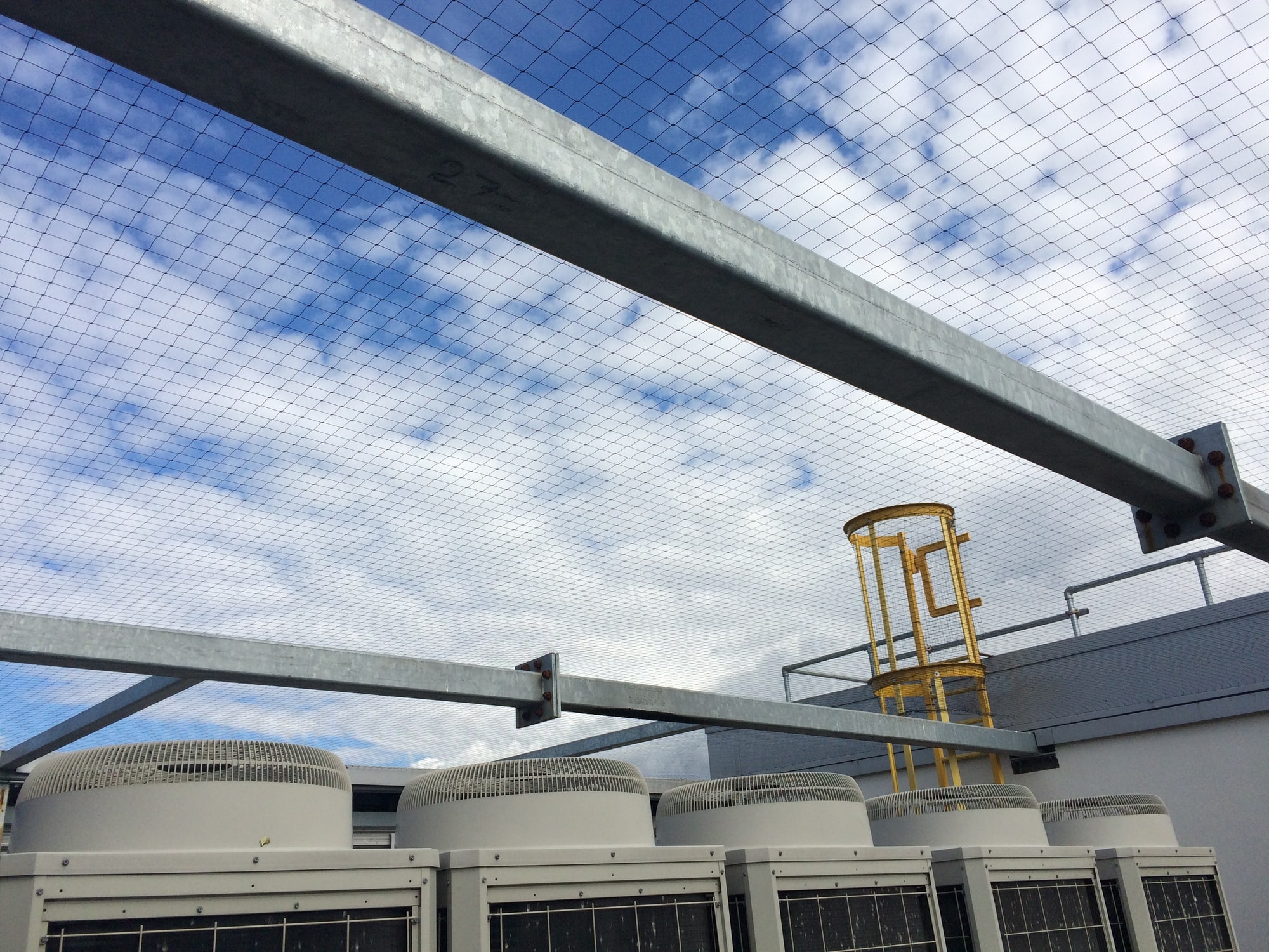 Net over a building for commercial bird control